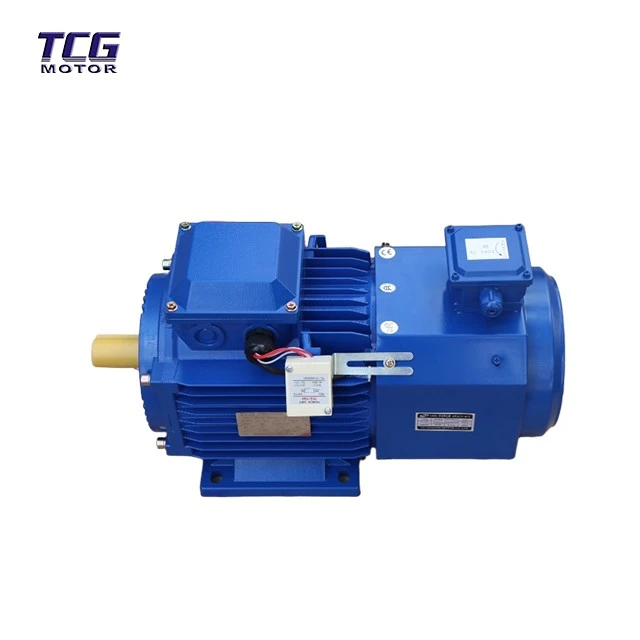 AC Gear Motor With Brake factory