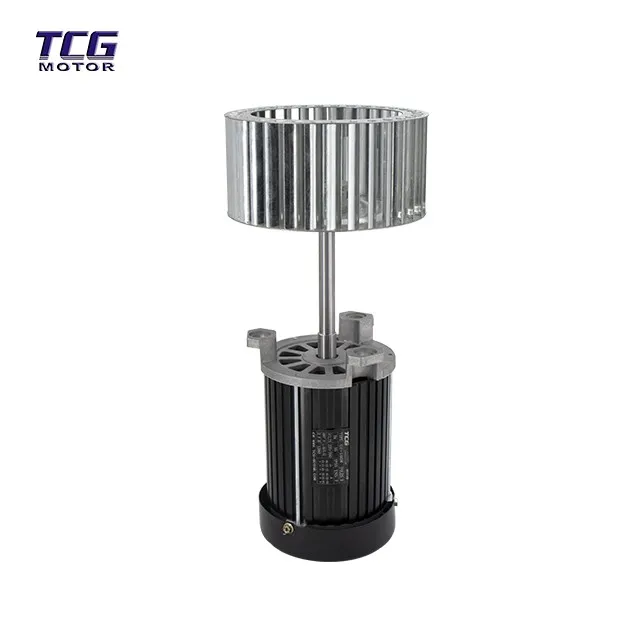 high temperature gear motor (2)